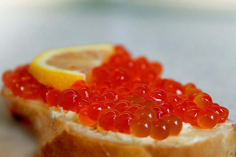 Pojemniki Finger Food - Idealne Rozwiązanie dla Wygodnego i Eleganckiego Podawania Przekąsek