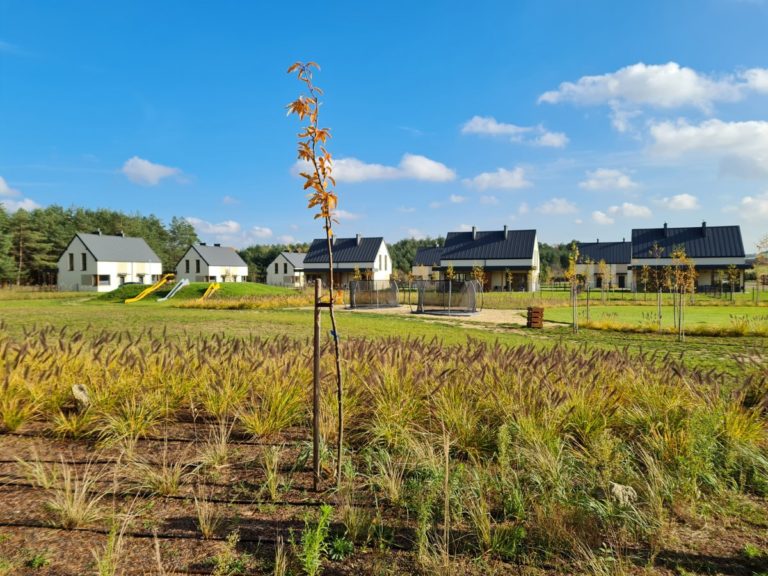 Wypoczynek w kazimierzu - unikalne noclegi i ciekawe atrakcje